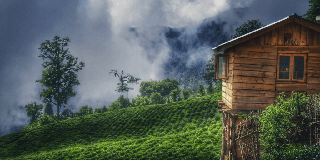 這張圖片展示了印度錫金的茶園,清晨的霧氣與翠綠的茶樹交織,呈現出一種安靜而迷人的景象。這片茶園擁有豐富的自然資源,是當地的重要農業產業之一。